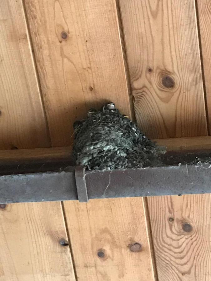 Hering Fewo I Apartment Terrace Wiek auf Ruegen Luaran gambar